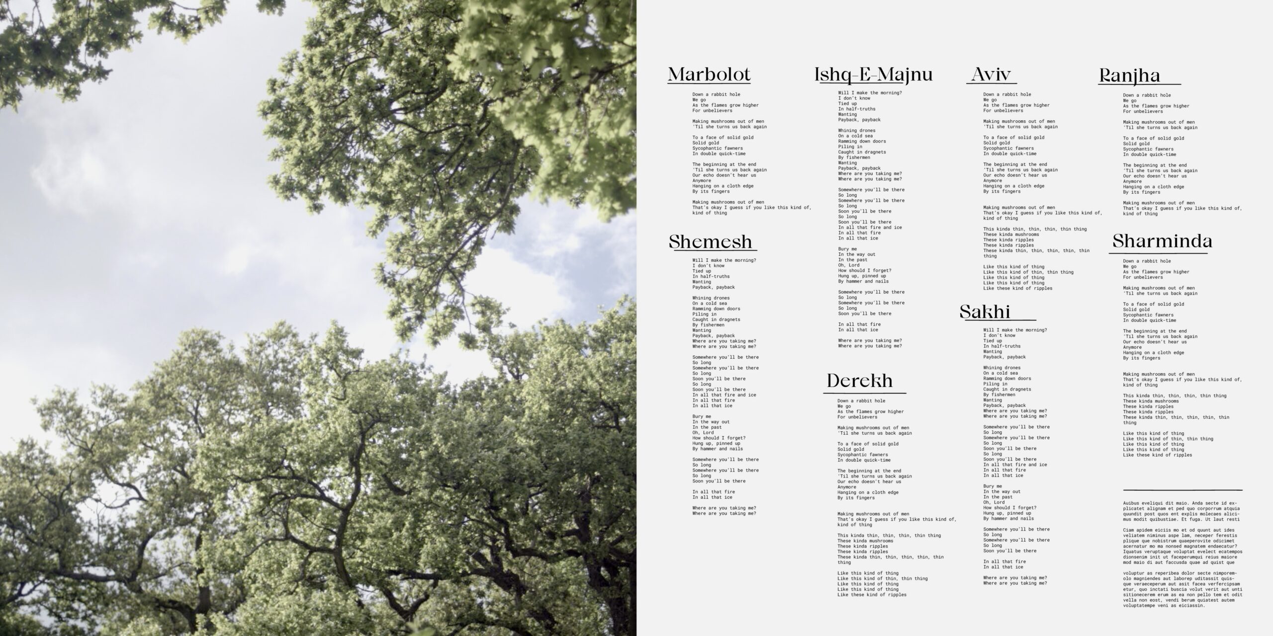 pullout-section-Image-lyrics